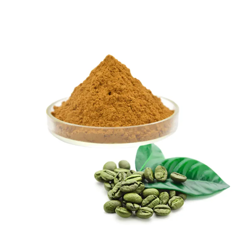 Extrato de grãos de café verde natural de alta qualidade 50% em pó 98% ácidos clorogênicos