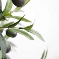Plante artificielle bonsaï pour chambre à coucher, d'olive, ananas, plante décorative, accessoires