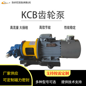 ปั๊มแม่เหล็ก Ekko รุ่น Magnetic Gear Pump ทำจากสแตนเลส 304  18 ลิตร/นาที ระยะส่ง 6 เมตร ปั๊มแบบโรตารี่สำหรับอาหาร - Product Image 5
