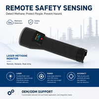 Détecteur de fuite de gaz portable HIREP avec lampe torche laser pour méthane et télémétrie – Analyseur de gaz – Fournisseur en gros OEM ODM