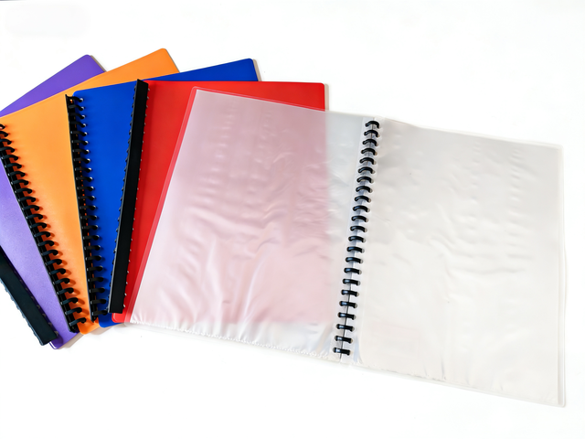 Hot Selling Promotional Good Quality A4 23-Hole Sheet Protector