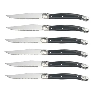 Couteau à Steak à viande en acier inoxydable, vente en gros, en plastique ABS, manche noir - Product Image 1