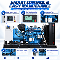 Groupe électrogène diesel silencieux de type conteneur ATS de haute qualité Royal 200 kW 250 kVA 1500/1800 tr/min pour l'énergie pétrolière et gazière