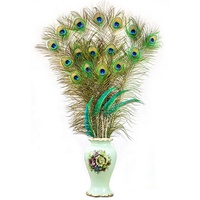Vente en gros de plumes de queue de paon 70-80cm motif brut plume artisanat pour les spectacles carnavals arrangements floraux
