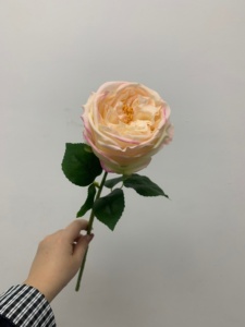 Rosas Artificiales Austin de Tacto Real en Oferta, <span class=keywords><strong>Flores</strong></span> Rosadas para Decoración del Hogar, Fiestas, Bodas, San Valentín - Product Image 3