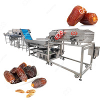 Commerciële Dadels Zaden Zachte Borstel Reiniger Wasmachine-Apparatuur Dateert Was-En Drooglijn