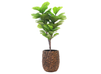 Pots à fleurs en fibre de ciment écologiques, durables, de forme personnalisée, de couleur personnalisée, pour une utilisation en intérieur/extérieur, jardin, maison, hôtel, restaurant