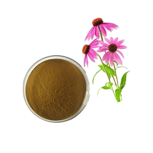 Gıda sınıfı ekinezya Purpurea ot kuru özüt dikkatle çiçek kabuğu parçası için üretici tarafından üretilen 1kg adedi çanta içinde paketlenmiş - Product Image 3