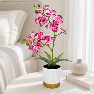 Orchidées Phalaenopsis artificielles avec pot, décoration intérieure, plante bonsai à 12 fleurs pour la maison, le bureau, accessoires de photographie - Product Image 3