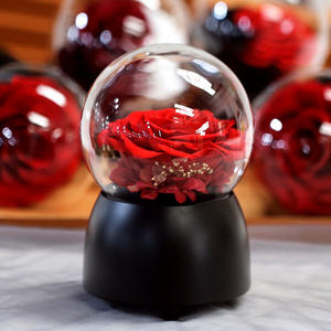 Caja Musical de Cristal con Rosa Preservada de Lujo TC, Decoración Atmosférica, Regalo para el Día de San Valentín, Día de la Madre, Cumpleaños - Product Image 1