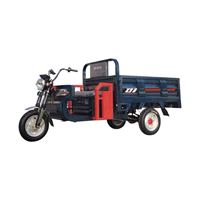 Triciclo Eléctrico de Gran Potencia, Triciclo E Rickshaw para Adultos, Otros Triciclos para Pasajeros CKD