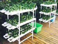 Système hydroponique vertical aéroponique Zewo, robuste et stable, facile à assembler, en ABS de qualité alimentaire pour économiser l'eau et favoriser la croissance des plantes.