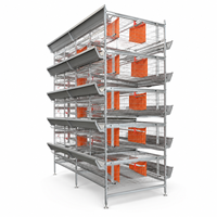 Nouveau système d'élevage de poulets en cage de type H, personnalisé, à 3/4 niveaux, style américain, avec rideaux de nidification rouges flexibles, haute productivité