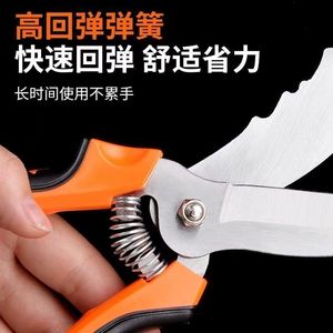 Tijeras para ajo de acero inoxidable con mango naranja para cosechar ajo y uso en jardinería - Product Image 4