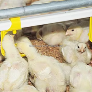 Điều kiện mới Gà Gia cầm núm vú uống nhựa động vật uống cho trang trại sử dụng - Product Image 3