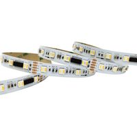 Bande LED numérique à pixels DMX512 UCS512G6 IC LED adressable 5050 5 en 1 RGBCCT 24V CRI 90 Dream Color pour projet d'éclairage
