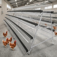 Système de cage à poules pondeuses automatique à 4 niveaux en forme de A, équipement d'élevage avicole
