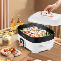 Marmite intérieure électrique pour barbecue avec couvercle et rôtissoire antiadhésive détachable et support à vapeur