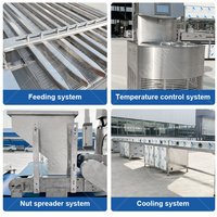 ORME Automatische Band Fruitcoatingmachine Halve Chocolade Enroberlijn voor Energie Repen