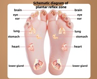 BAEWOON L25 Sandal Pijat Akupresur Pria Sandal Rumah Kasual Satu Garis Sandal Wanita Pantai Luar Ruangan Musim Panas
