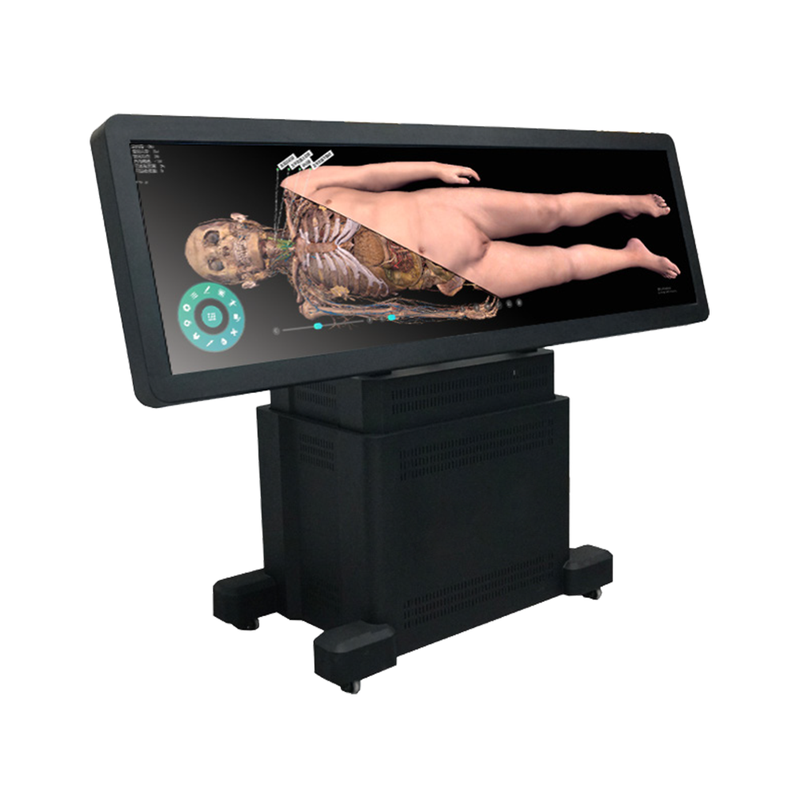 Human Virtual Anatomy Table with 3D