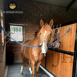 Panneaux avant et latéraux personnalisables de stalles d'écuries JH pour les cloisons d'abris de chevaux Conception modulaire facile à assembler Écurie pour chevaux - Product Image 6