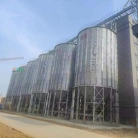 Silo in Acciaio per Stoccaggio di Grano, Mais e Riso, Serbatoio Verticale ad Alta Efficienza, Capacità 50-15000 Tonnellate, Durata 25-40 Anni