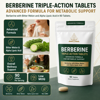 Solutions de Comprimés de Berbérine à Haute Rétention, Portefeuille d'Actifs Stratégiques, Support de Conformité Mondiale, Faible MOQ, Vente en Gros Clé en Main B2B