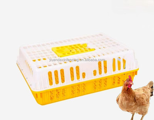 Plastic Kippenkooi Voor Pluimveehouderij Met Goed Ventilatieontwerp Herbruikbaar Transport Gevogelte En Plastic Duivenkooi - Product Image 4