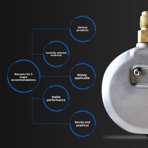 Medidor de Vibración EN837 de Acero Inoxidable de 100 mm con Montaje Inferior, Serie 213.53, Fabricado en Alemania - Product Image 5
