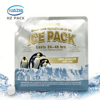 Sac isotherme Doypack personnalisé en PE avec bec verseur latéral pour la cryothérapie, sacs de gel réutilisables pour congélateur