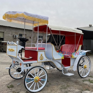 Calèche électrique économique à 2 rangées, blanche, nouveau style, pour transport spécial et tourisme - Product Image 4
