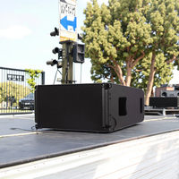 Enceintes Line Array Professionnelles de Haute Qualité 10 Pouces, Boîtier Passif 2 Voies pour Scène et Bar Audio