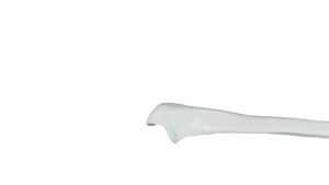 Modelo de Hueso Ulnar del Brazo Humano, Tamaño Real, Modelo Anatómico Estructural del Ulnar para Ciencias Médicas - Product Image 5