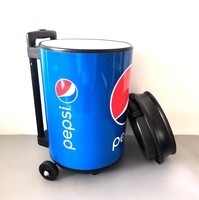 Glacière portable en plastique de 19 L pour le camping en plein air, transport de vaccins, glacière à roulettes avec poignée
