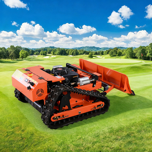 เครื่องตัดหญ้า800มม. - Product Image 1