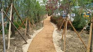 Coir Mat ม้วนใหญ่สำหรับปูถนนทำจากใยมะพร้าวธรรมชาติเวียดนาม - Product Image 3