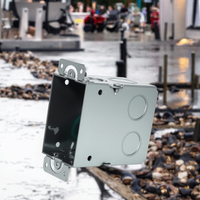 Boîtier de jonction pour instruments électroniques, protection IP67, modèle EB591, traitement de surface en acier galvanisé