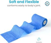 Bandage Cohésif Élastique Non Tissé Personnalisé de 4 Pouces x 5 Yards pour Course Hippique et Usage Vétérinaire avec Certification CE - Vente en Gros