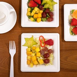 Tùy Chỉnh Mía Bã Mía Bột Giấy Món Ăn Tấm Compostable Phân Hủy Sinh Học Dùng Một Lần Bã Mía Lớn Tấm Khay - Product Image 6