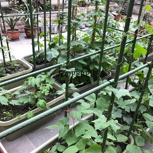 Plastic Coated <b>Tomato</b> Plant <b>Support</b> Stake for Sale - Product Image 6