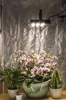 Lampe de culture LED 70w 100W Spectre complet Lampes de culture pour plantes avec double puce pour plantes d'intérieur hydroponiques Végétation et floraison