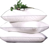 2023 nouvelle collection d'hôtels personnalisés 48*74cm oreiller de luxe à rayures oreiller de qualité hôtelière