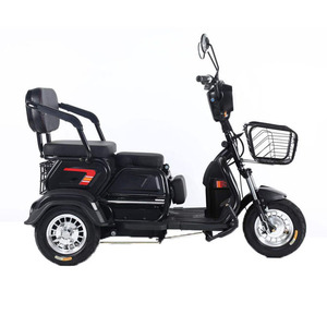 <span class=keywords><strong>Tricycle</strong></span> Électrique 3 Roues Usine 600W 48V pour <span class=keywords><strong>Adultes</strong></span> - Product Image 5
