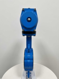 Proveedor de Válvulas de Mariposa de Hierro Fundido Tipo Marino DN20-DN300 de Buena Venta - Product Image 5