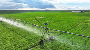 Rekabetçi Fiyatlı Pointer Tipi Yağmurlama Sulama Makinesi - Product Image 3