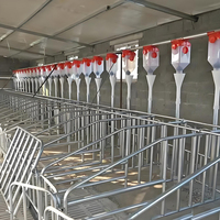 Barras de Posicionamiento para Cerdas de 5 Posiciones Sin Piso, Nuevas, Galvanizadas y Resistentes a la Corrosión