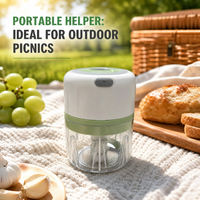 Procesador de Alimentos Inalámbrico de 5W con Carcasa de Plástico para Jengibre, Chile, Frutas, Carne, Especias, Frijoles - Nuevo Molinillo de Ajo de 250ML