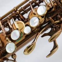 Saxophone alto professionnel Focustyle, corps en laiton, plaqué or café, tonalité EB, modèle FAS-500MKVI