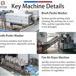 เครื่องจักรผลิตมันฝรั่งปอกเปลือกแบบกำหนดเองจากโรงงาน พร้อมฟังก์ชั่นล้าง ปอกเปลือก คัดแยก และป้อนมันฝรั่ง - Product Image 3